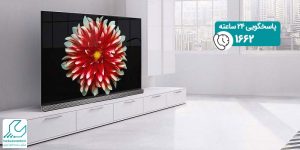 تلویزیون OLED65E7GI ال جی