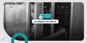 روشن نشدن مایکروفر
