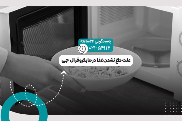 داغ نشدن غذا در مایکروفر